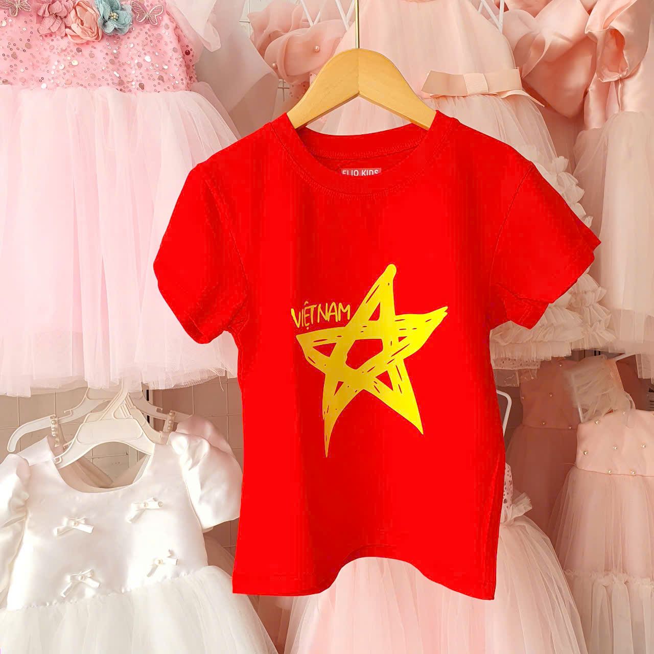 A22 _ Áo thun Việt Nam cho bé trai và bé gái _ Beekids