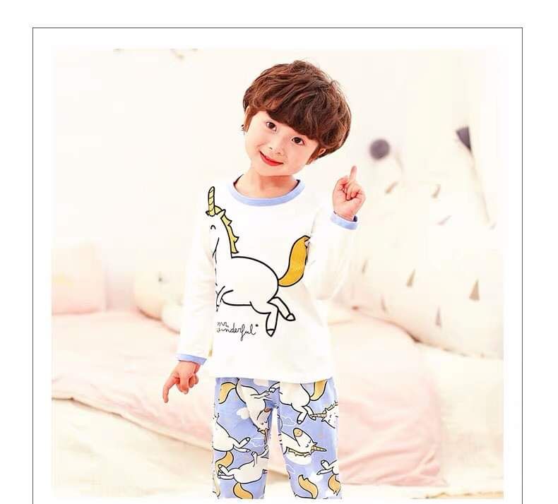 Bộ thun dài tay ngựa pony