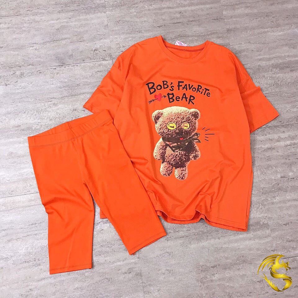 Bộ thun lửng gấu bé gái