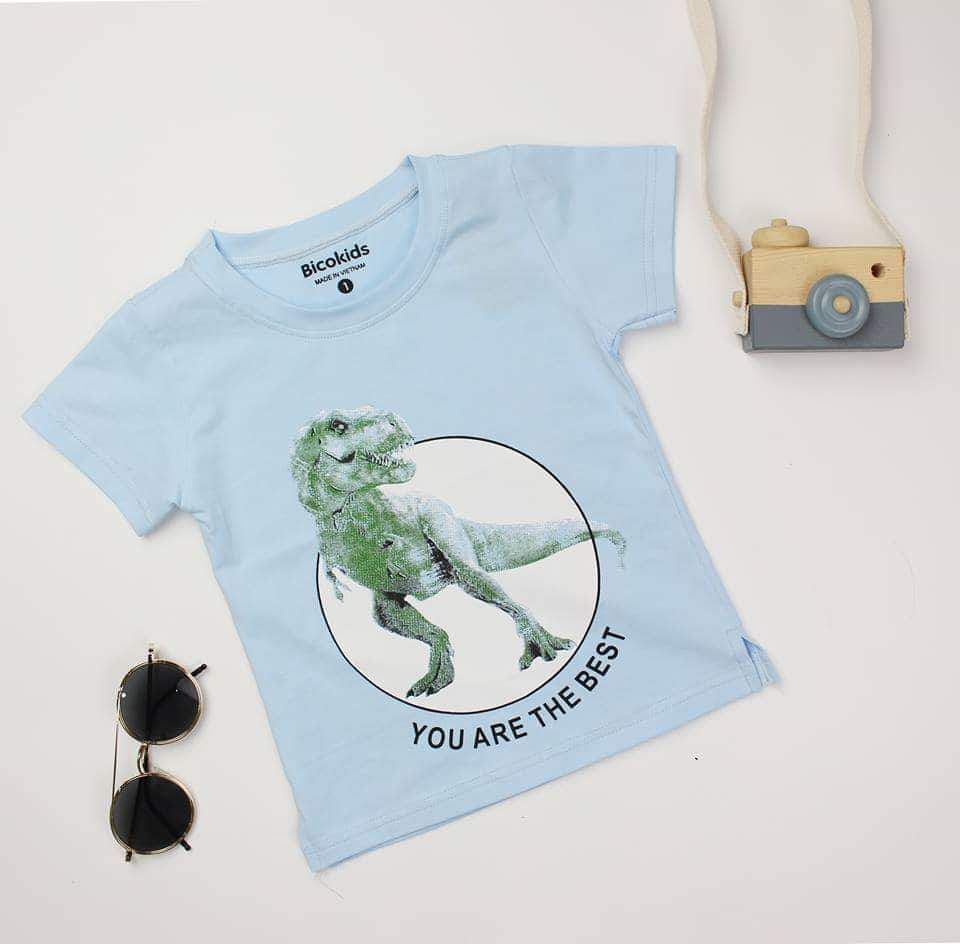Áo thun khủng long bé trai