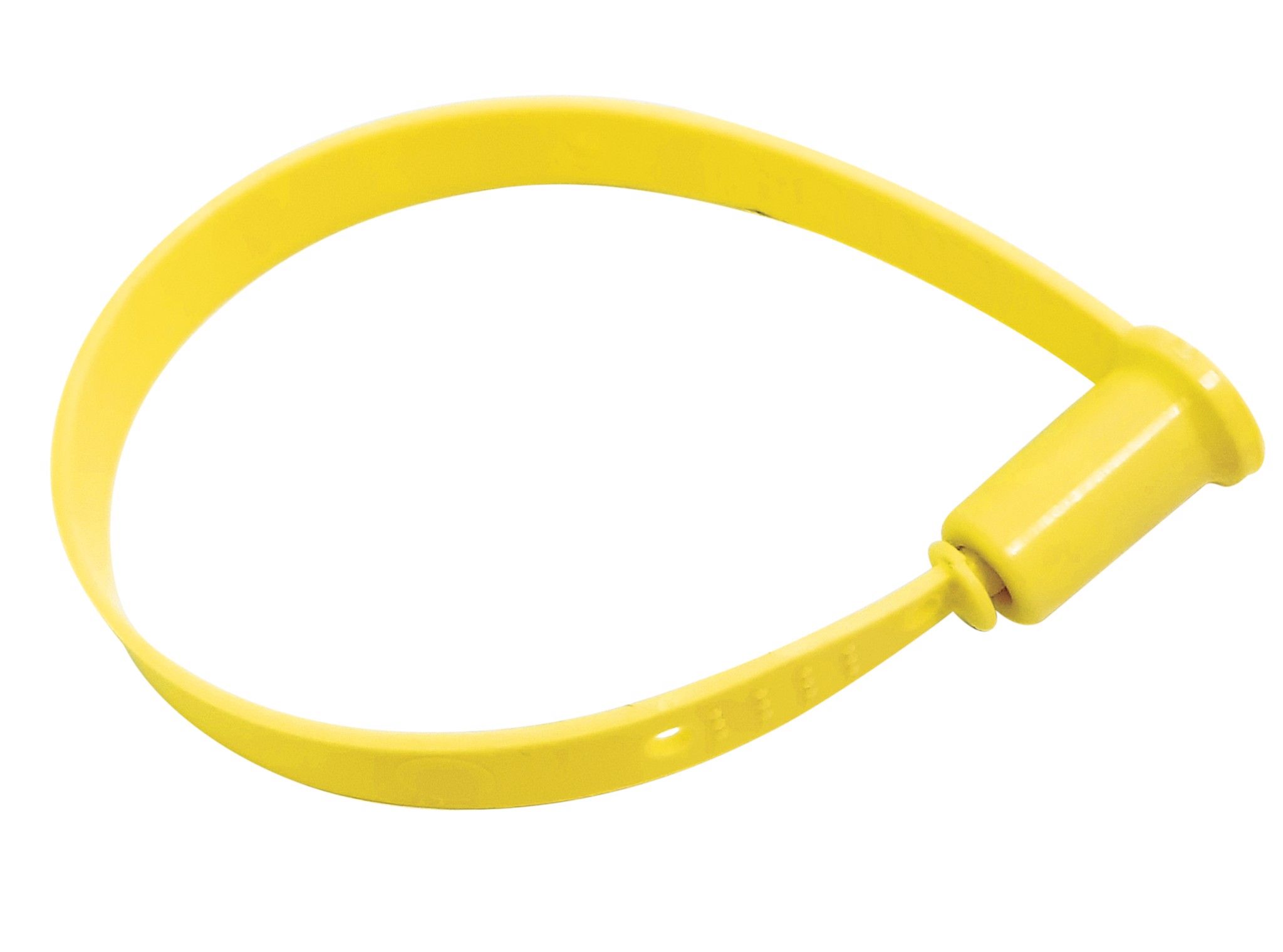 SEAL DÂY DẸP 2 LÕI KHÓA 21CM