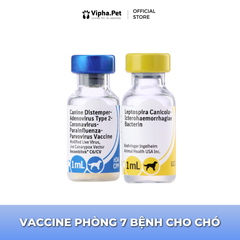Vaccine Recombitek C6/CV (vaccine 7 bệnh cho chó)