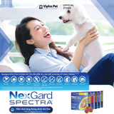 NEXGARD SPECTRA® size M cho chó từ 7.6-15 kg (2g/viên x 3 viên/hộp)