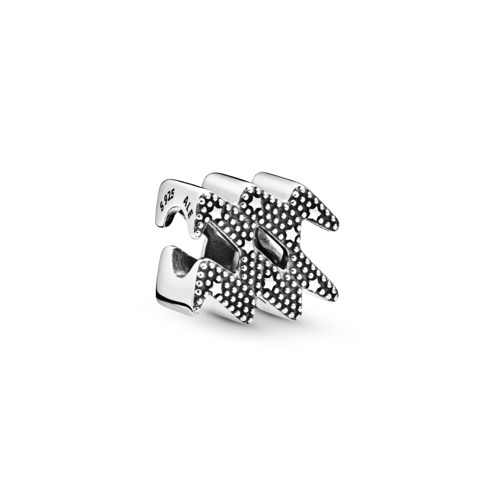 Sparkling Aquarius Zodiac Charm