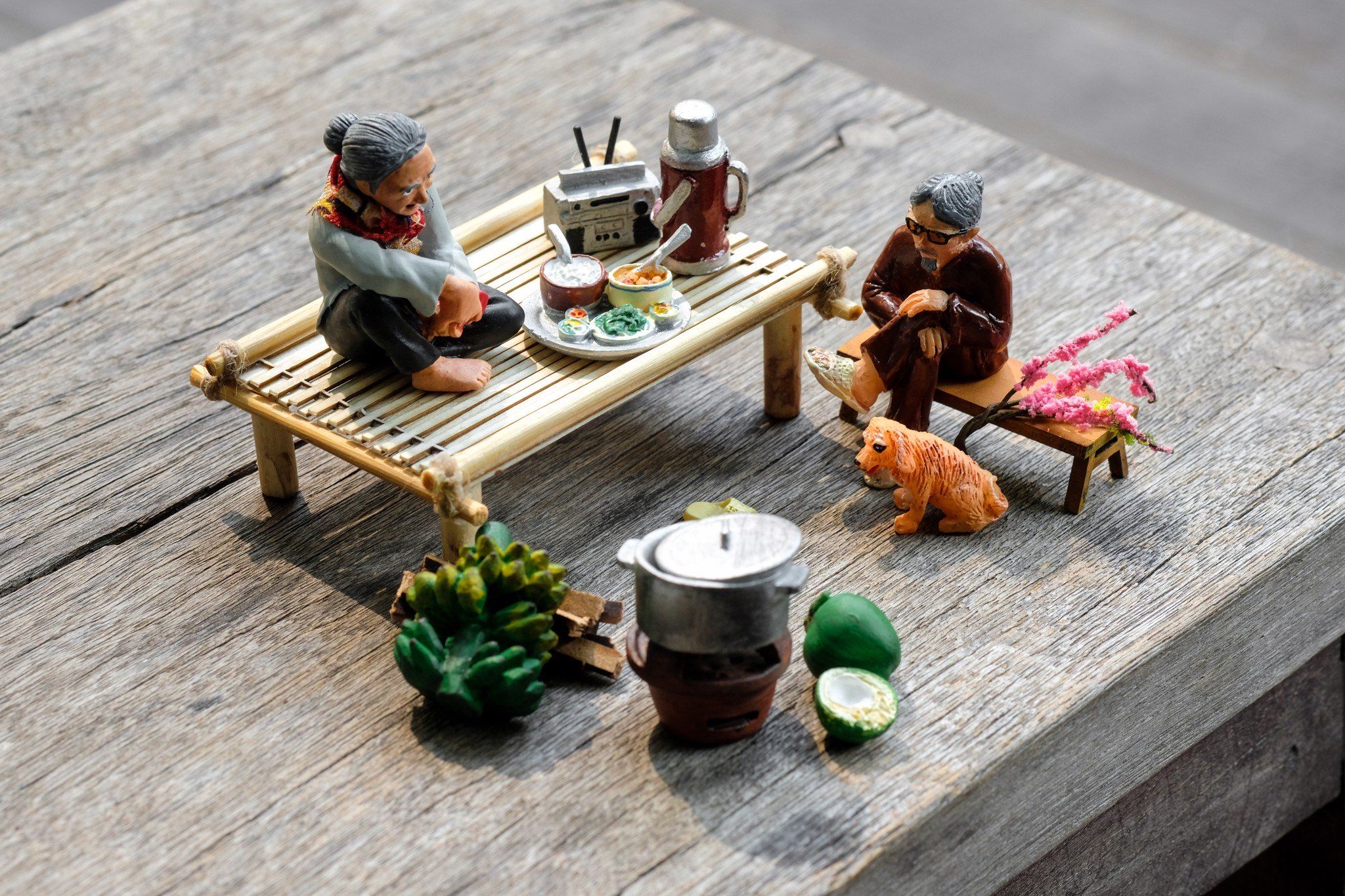Combo thành phẩm mô hình Niềm vui của tuổi già S200306