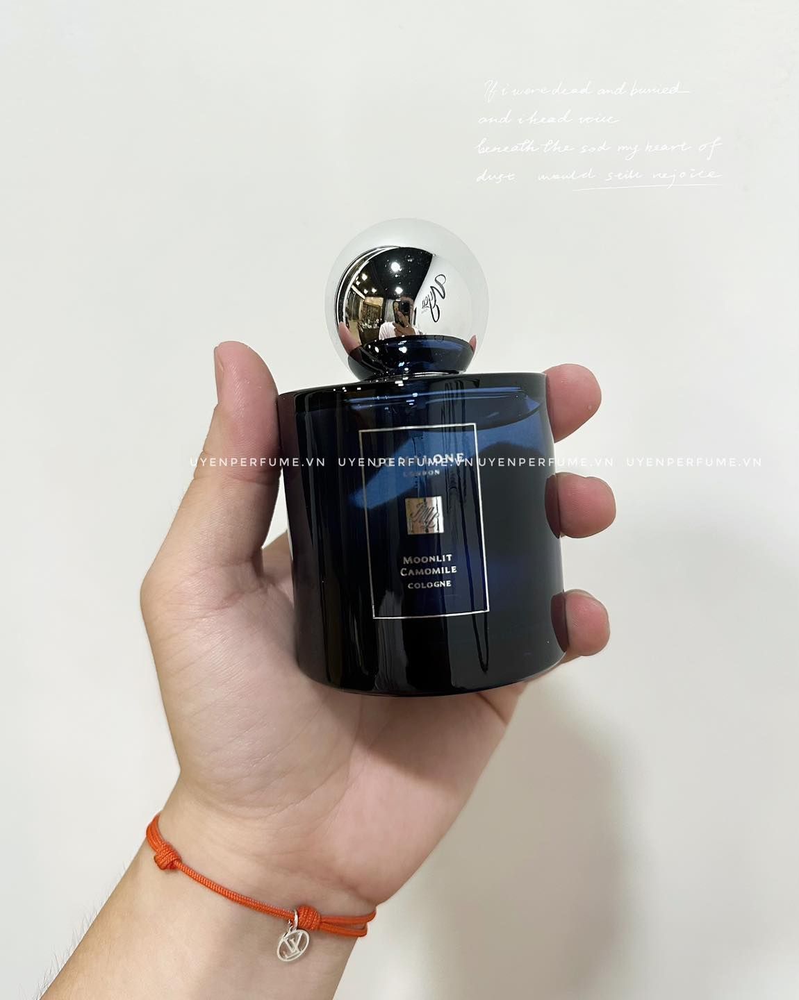 JM Moonlit Camomile