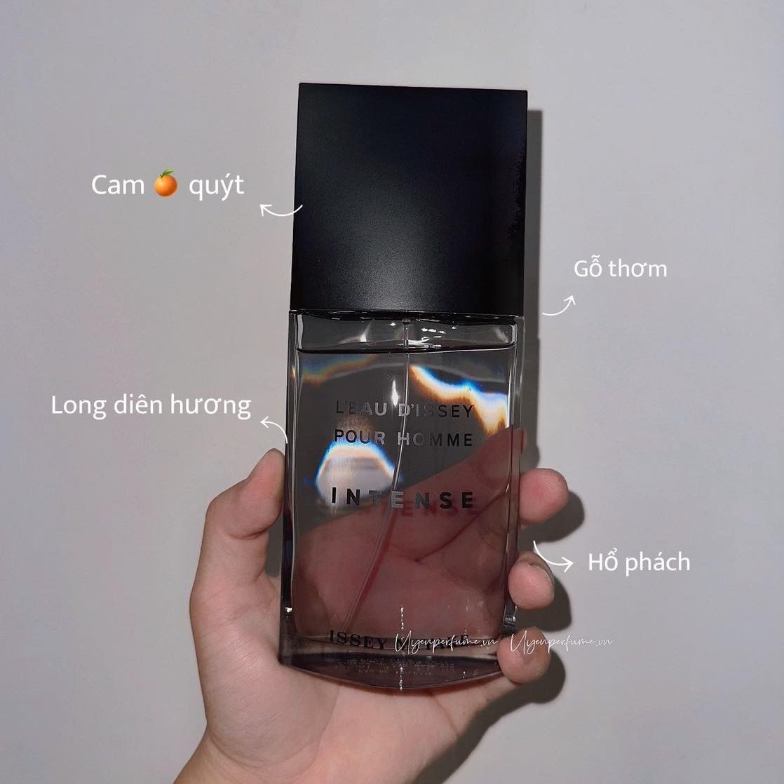 Issey Miyake L'eau D'Issey Pour Homme Intense