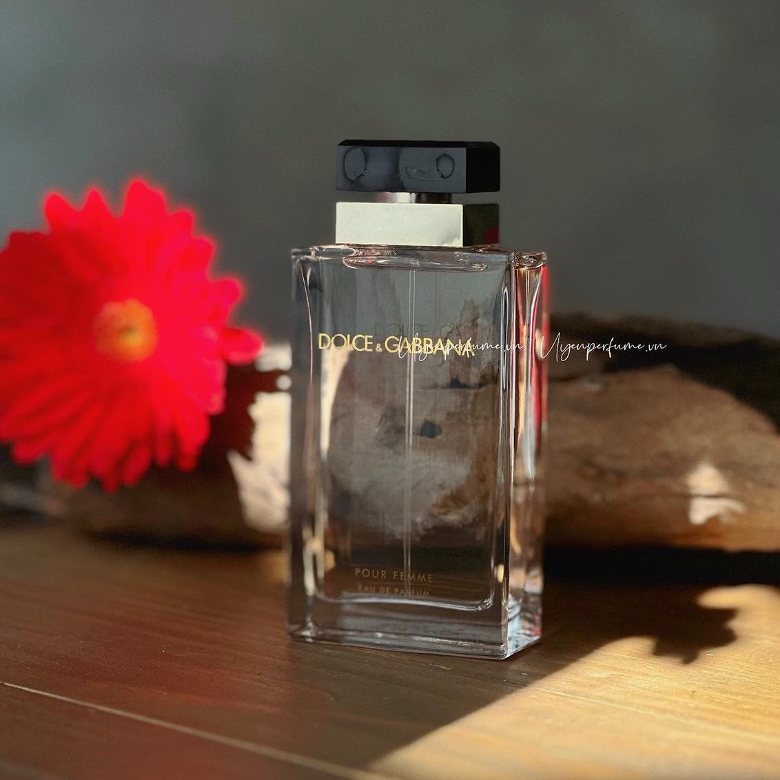 D&G Femme