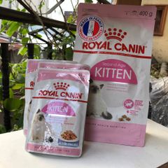 Combo cho mèo con ăn dặm Royal Canin Kitten từ 2 tháng tuổi