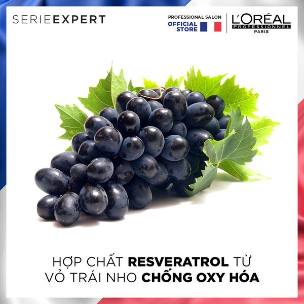 Dầu Hấp Bền Màu Tóc Nhuộm Serie Expert Vitamino Resveratrol 250 ml