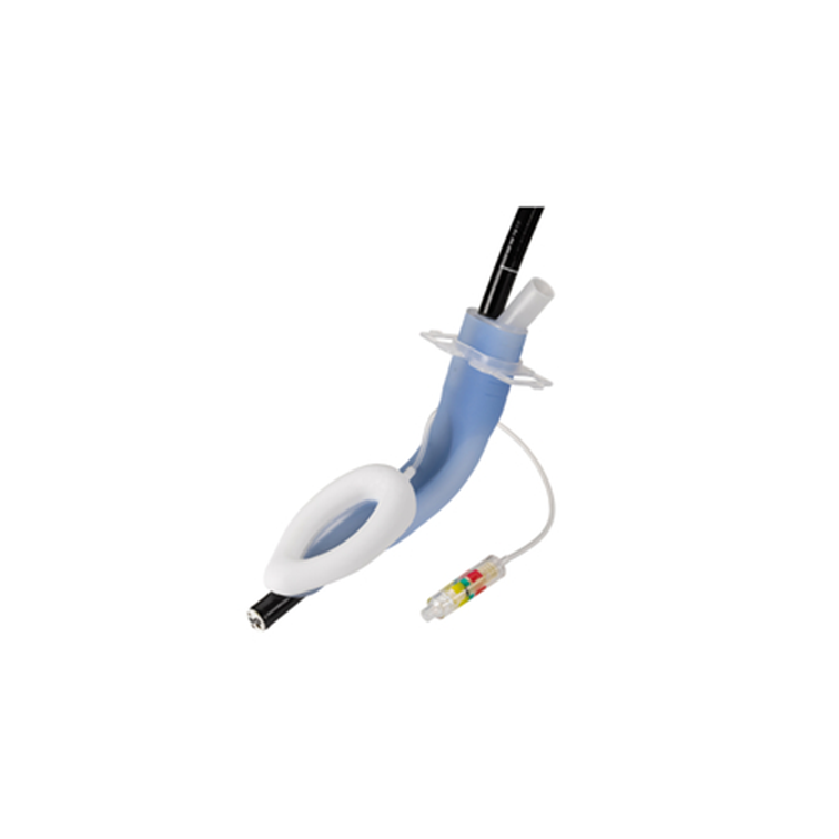 Mặt nạ thanh quản cho nội soi tiêu hóa/ LMA Gastro Cuff Pilot