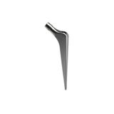 Latitud™ Hip Replacement System - Chuôi xương đùi có xi măng