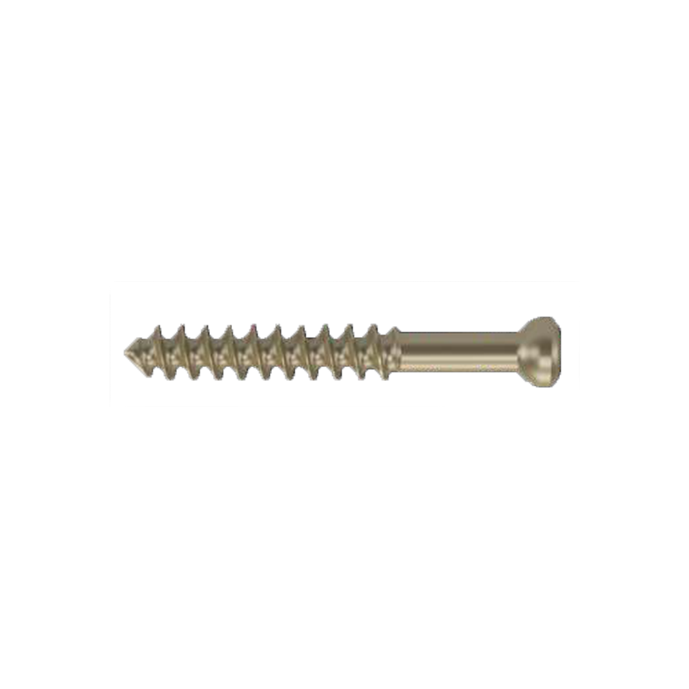 Vít xương xốp đường kính 6.5mm, ren dài 16mm