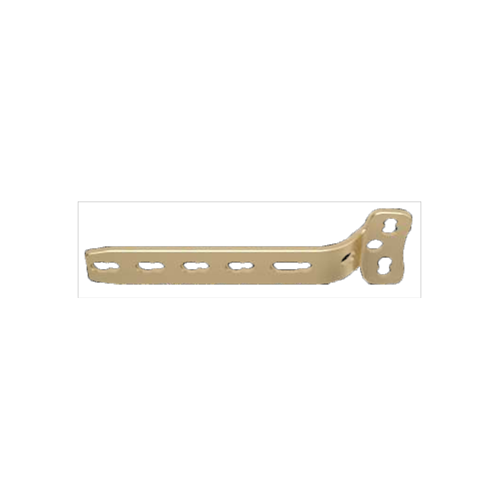 Nẹp khóa nâng đỡ chứ T 4.5mm