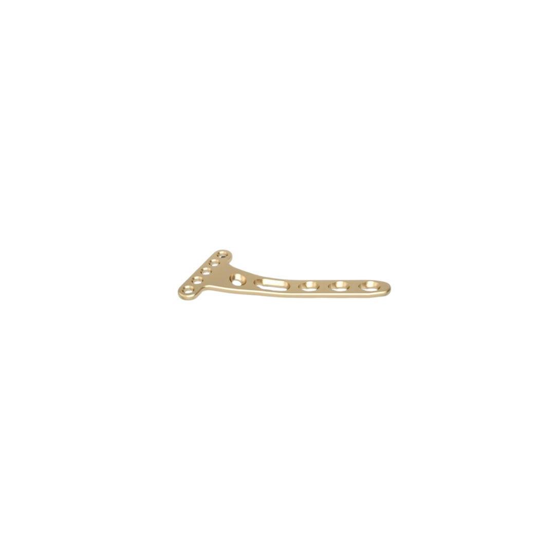 Nẹp khóa đầu dưới xương quay mặt lòng 2.4mm