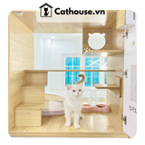  Hotel Mèo - Phòng Máy Lạnh Cao Cấp (Pet > 5kg) 