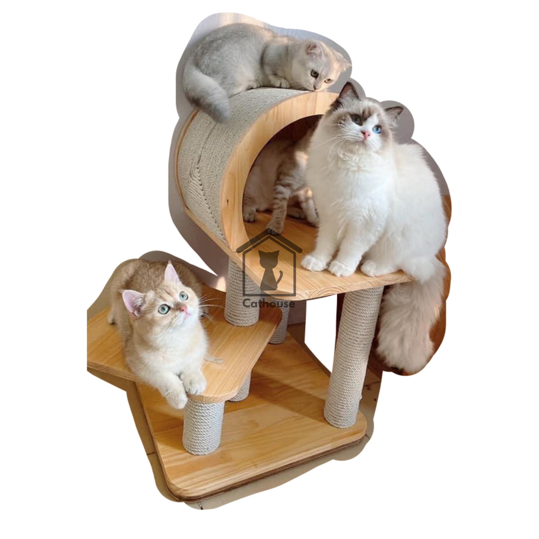  Cat Tree Nhà Cây Cho Mèo Mẫu Nhỏ 02 