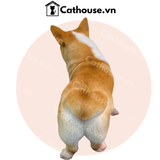  Cắt Tỉa Chó Corgi Mông Trái Tim 