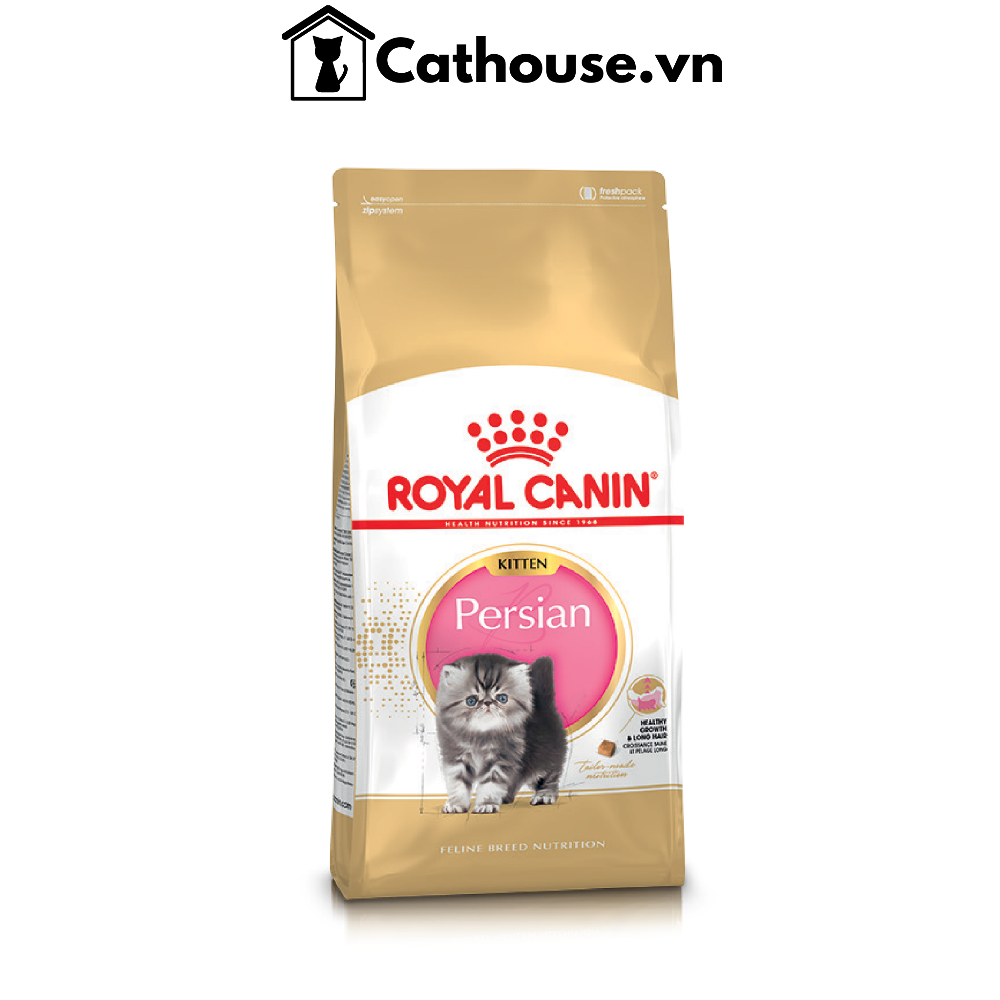 Hạt Mèo con Ba Tư Persian Kitten Royal Canin