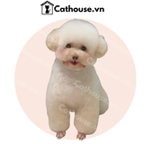  Cắt tỉa chó Poodle mặt tròn - Kiểu Teddy Bear 