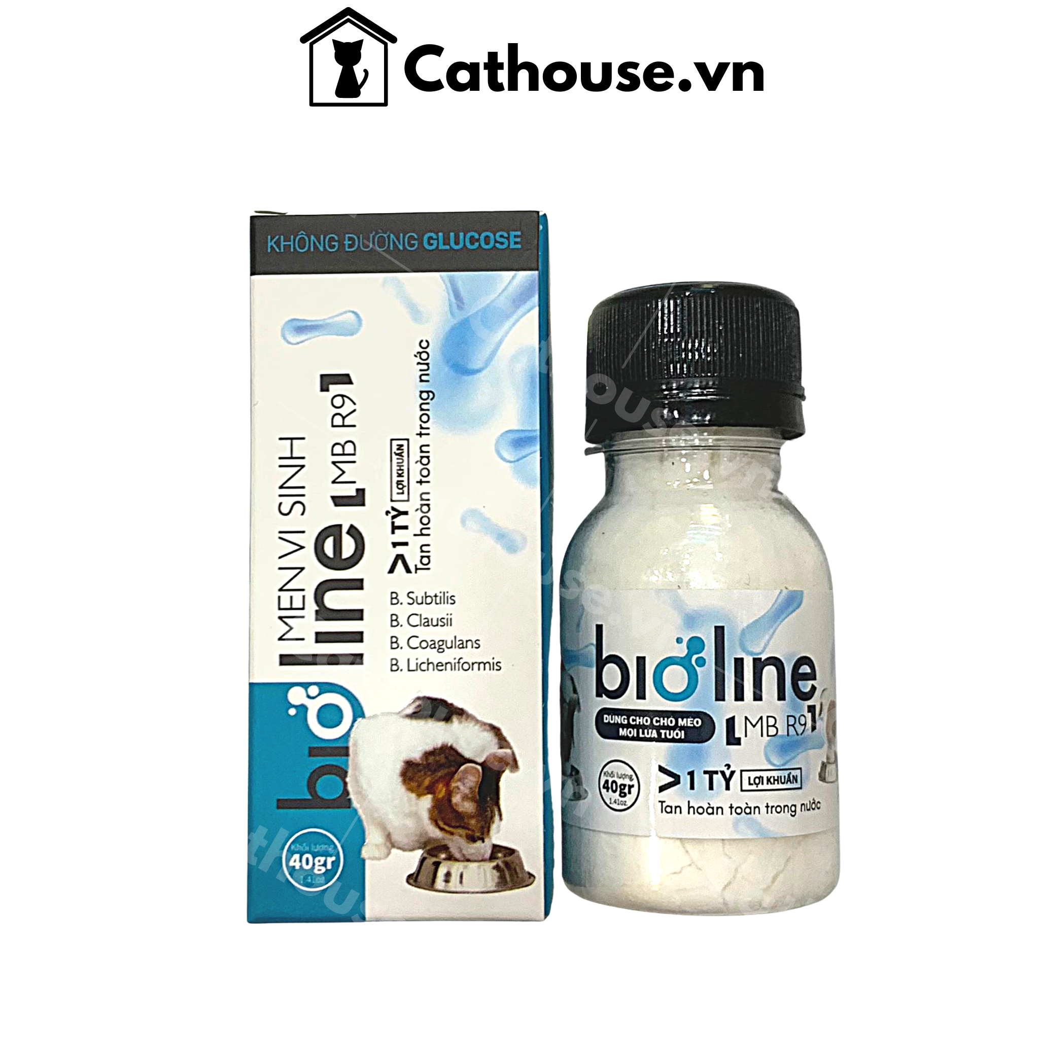 Men Vi Sinh Bioline MB R9 Hỗ Trợ Tiêu Hóa