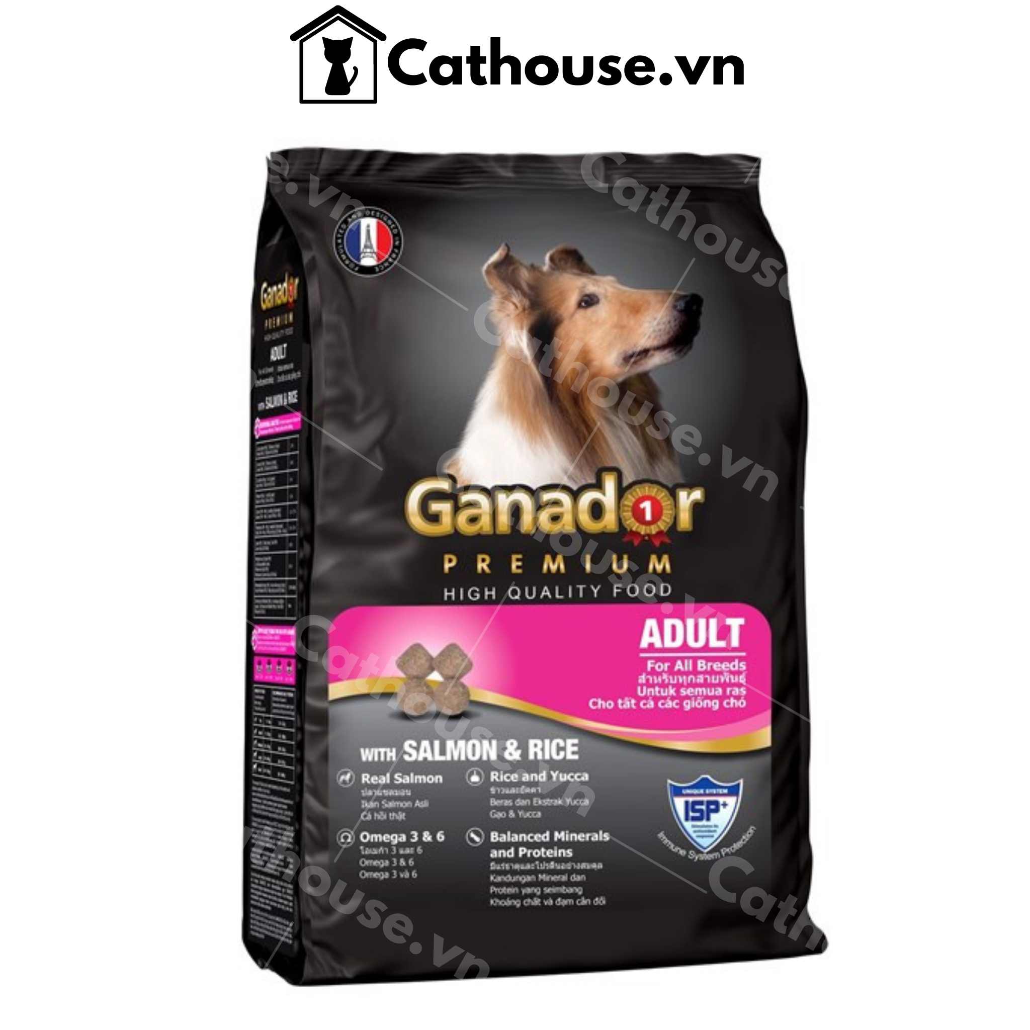 Hạt chó Ganador Premium Adult Salmon & Rice Vị Cá Hồi