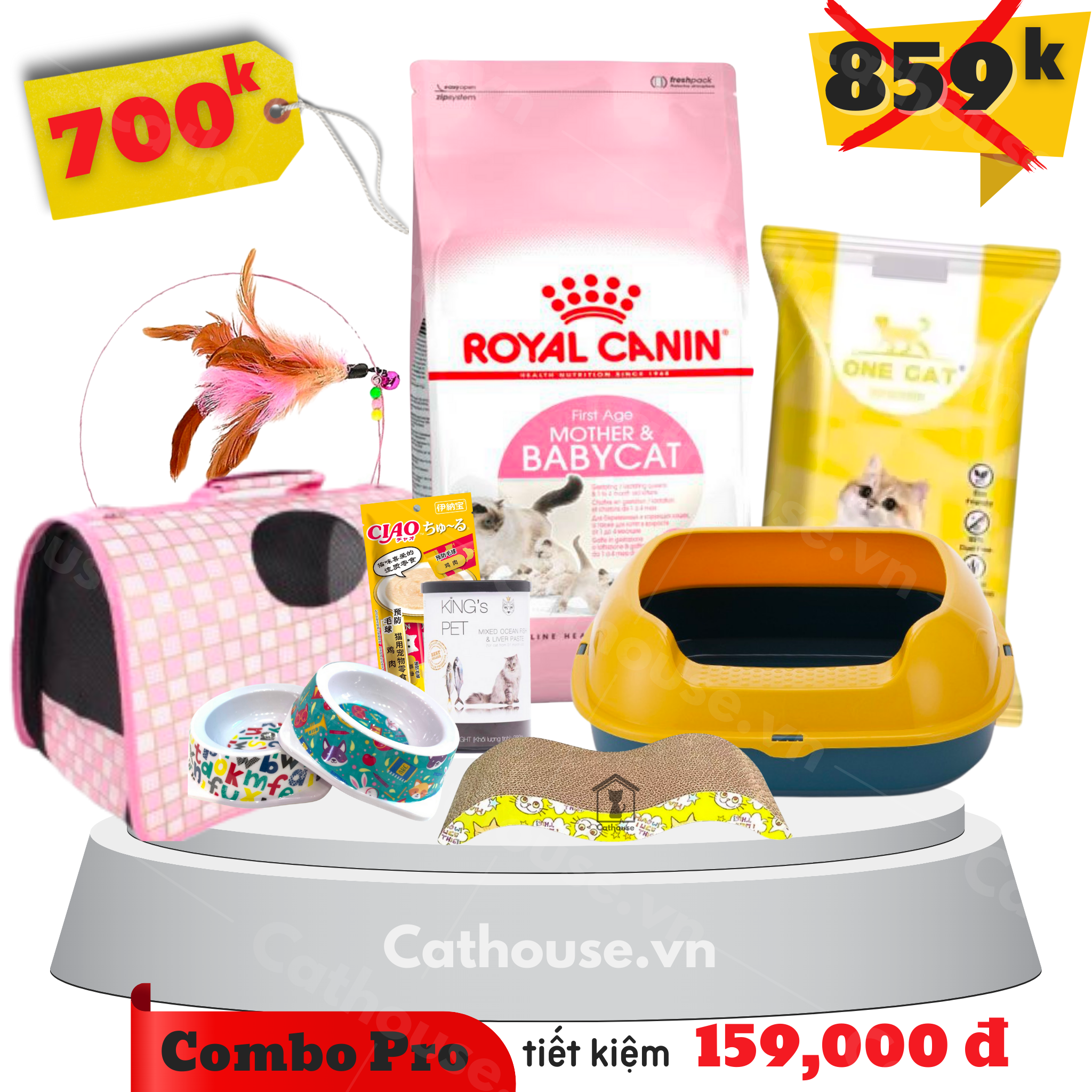 BASIC Combo nuôi mèo dành cho người mới