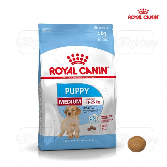  Hạt Chó Medium Puppy Royal Canin 