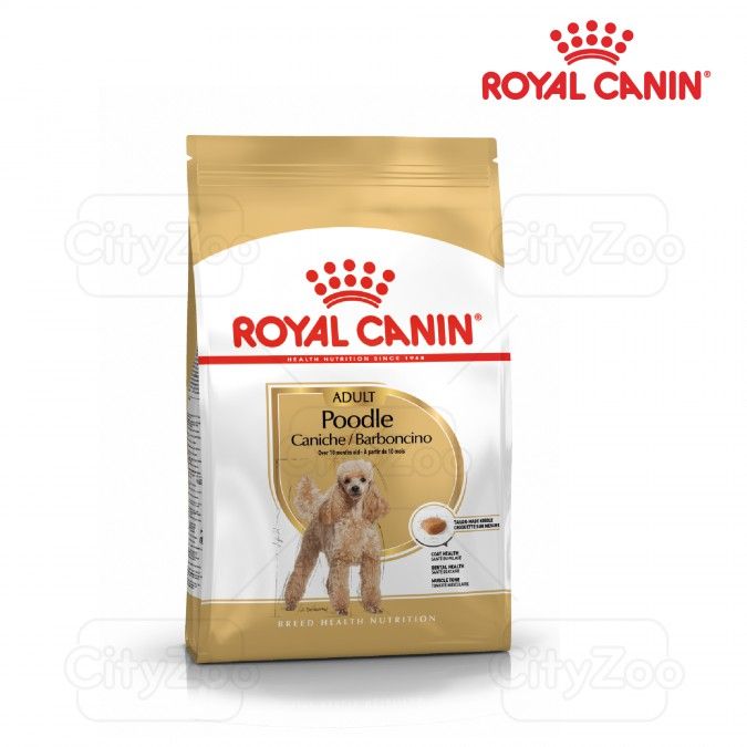  Hạt Chó Poodle Adult  Royal Canin - Poodle Trưởng Thành 