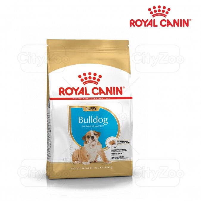  Hạt Chó con Bulldog Puppy Royal Canin 