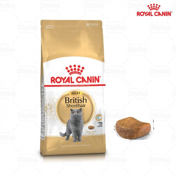  Hạt Mèo British Shorthair Adult Royal Canin 