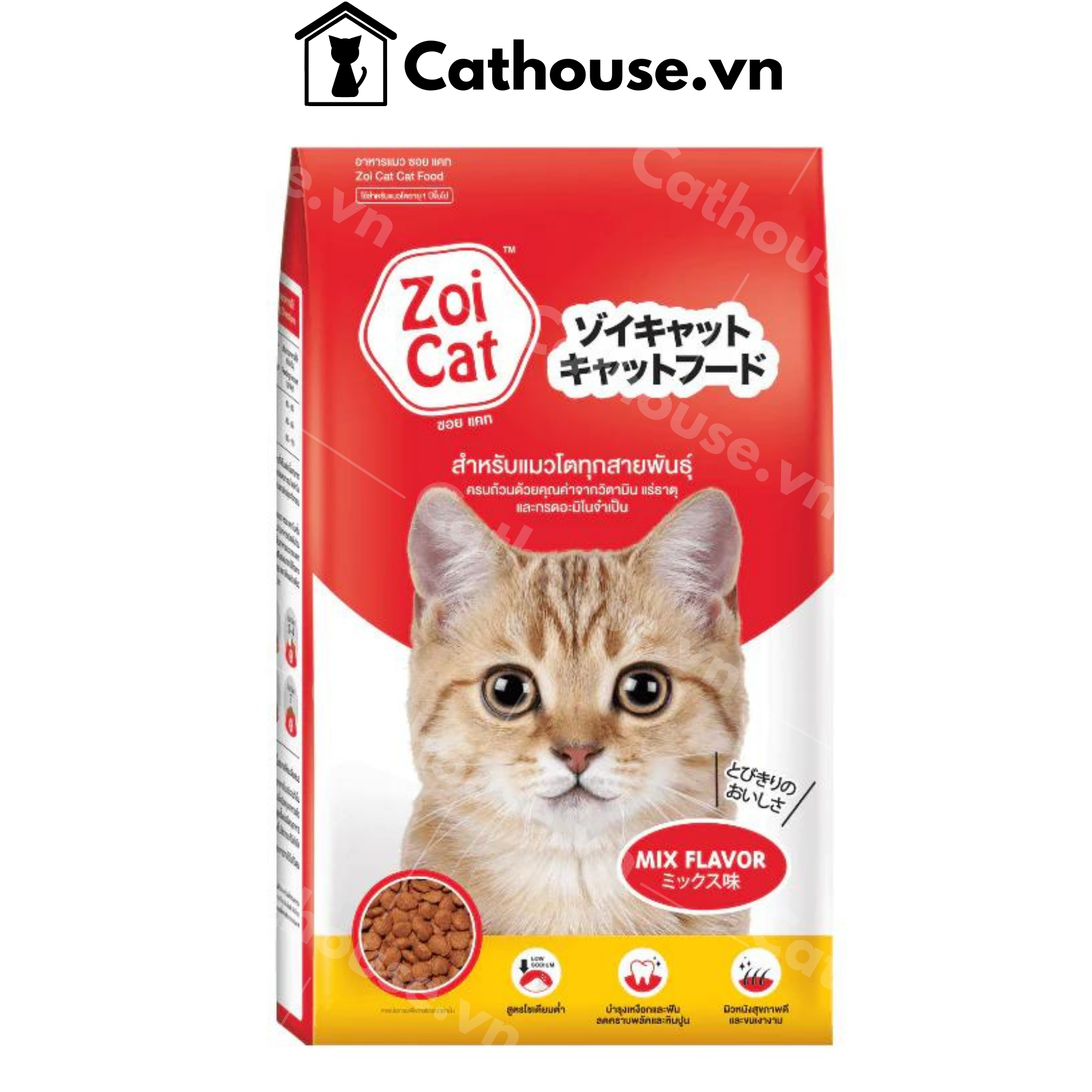 Hạt Mèo Zoi Cat