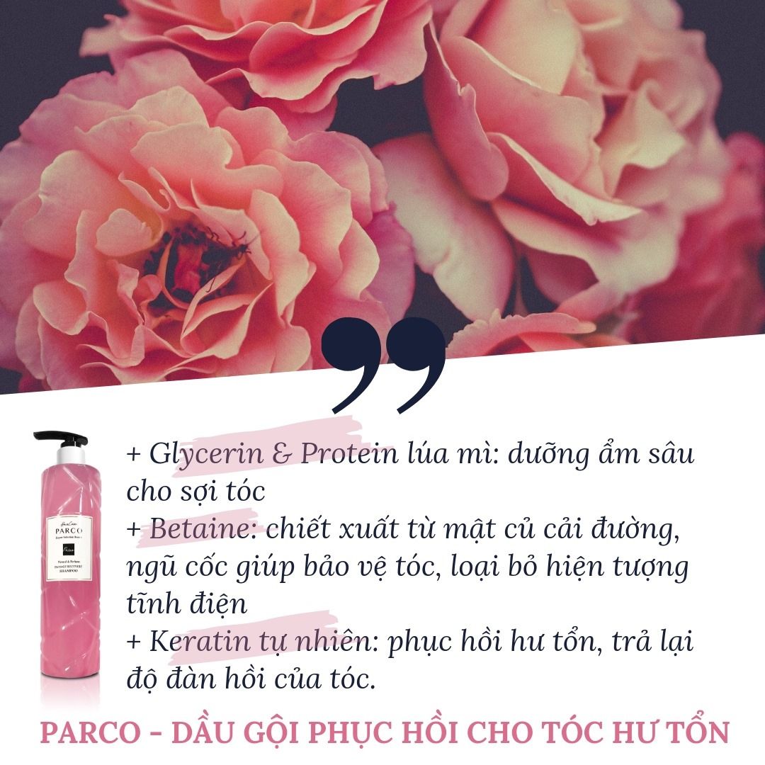 DẦU GỘI PHỤC HỒI HƯ TỔN (Damage Recovery Shampoo)