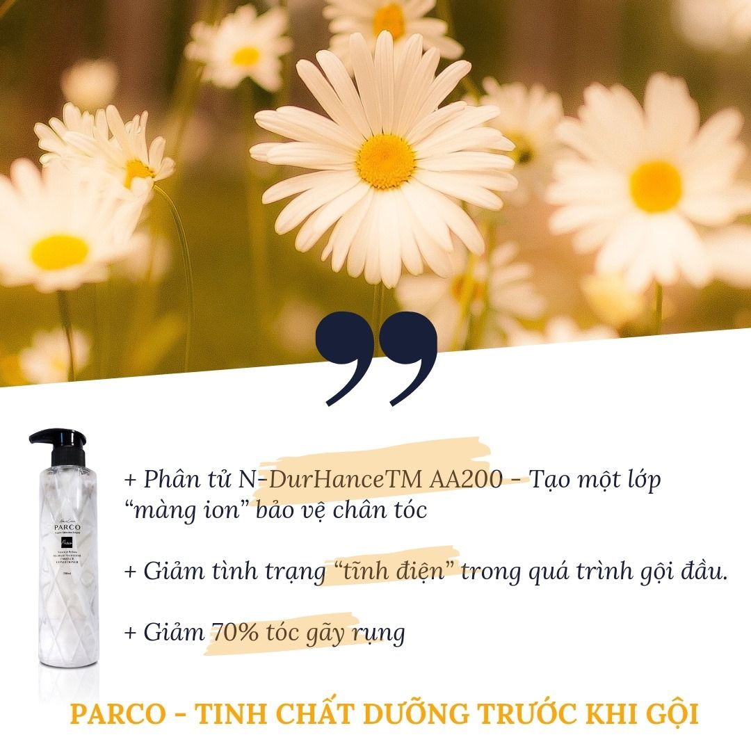 TINH CHẤT DƯỠNG TRƯỚC KHI GỘI