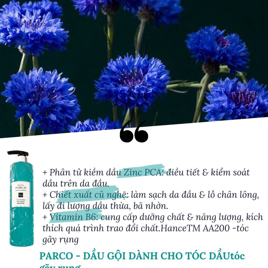 DẦU GỘI DÀNH CHO TÓC DẦU (Oil Control Shampoo)