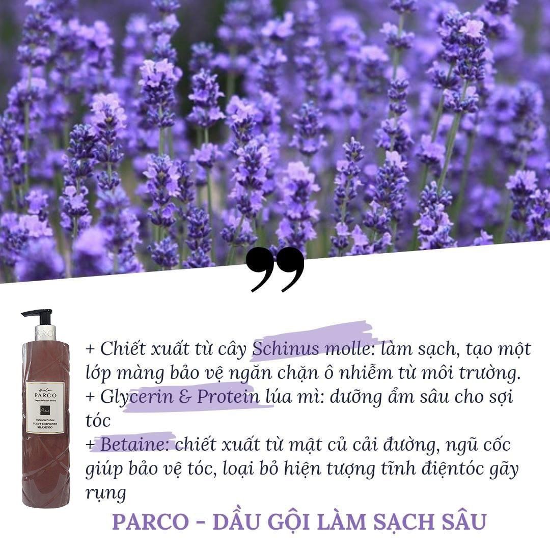 DẦU GỘI LÀM SẠCH SÂU (Purify & Replenish Shampoo)
