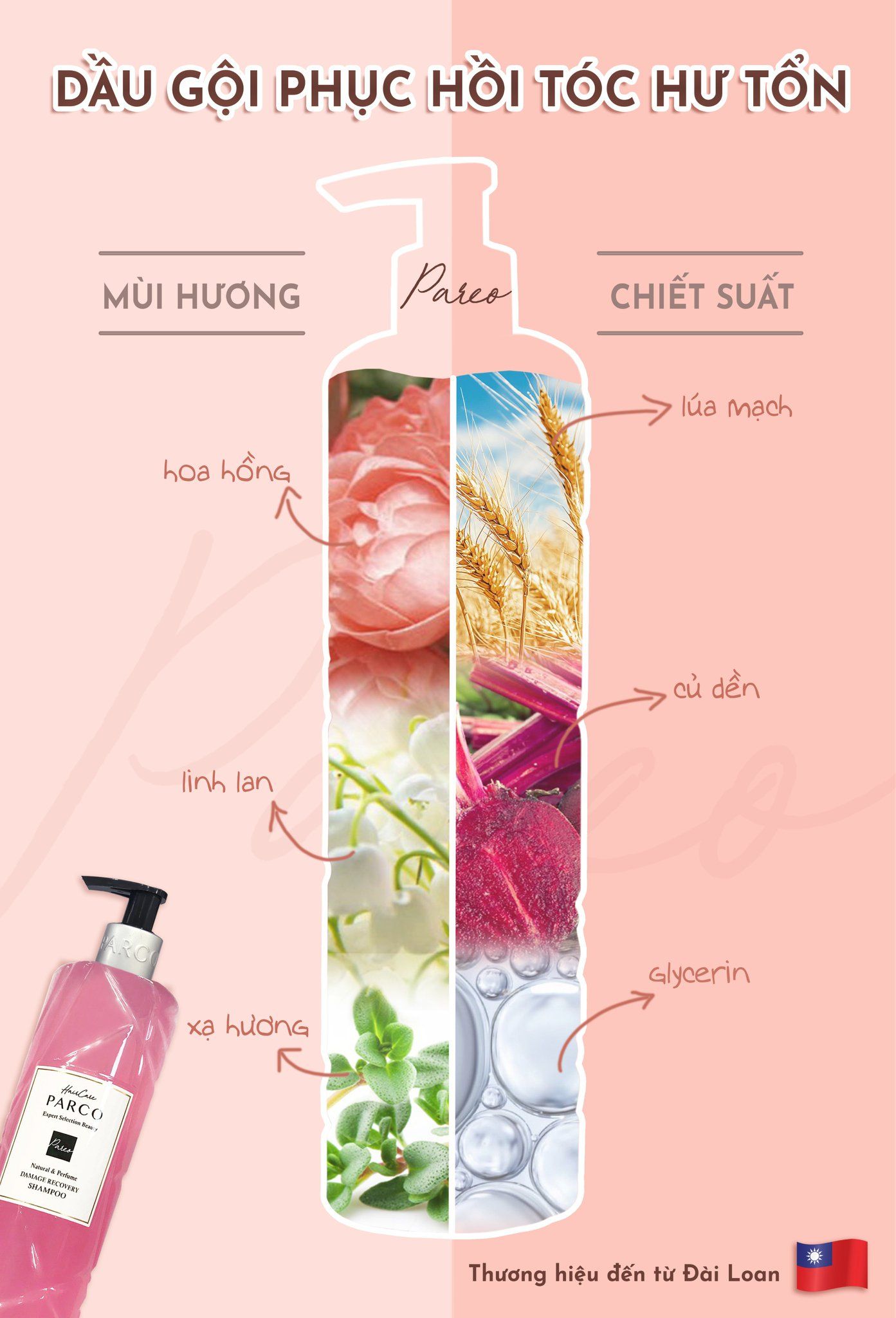 COMBO DƯỠNG TÓC CHẮC KHOẺ – GIẢM GÃY RỤNG – PHỤC HỒI CHUYÊN SÂU