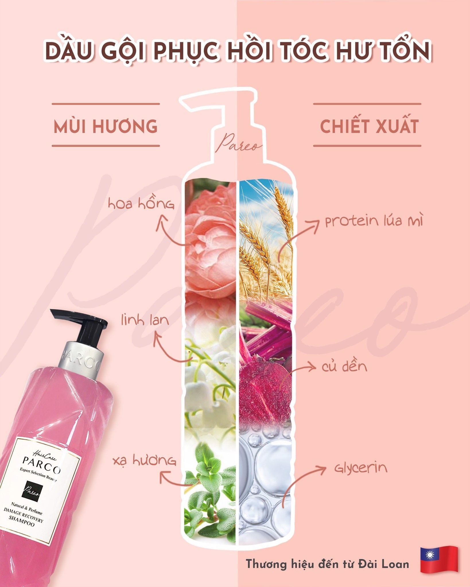 DẦU GỘI PHỤC HỒI HƯ TỔN (Damage Recovery Shampoo)
