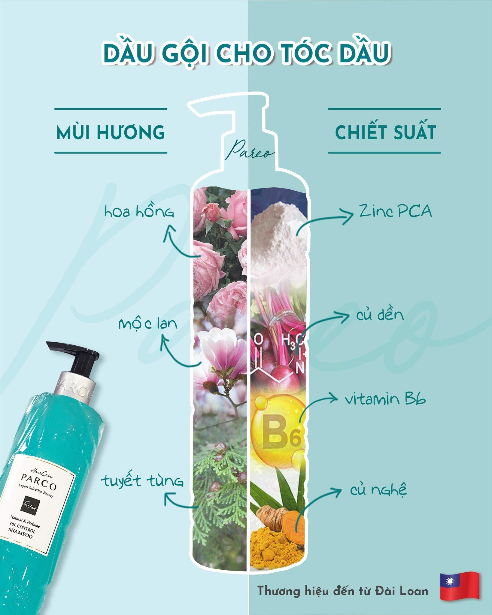DẦU GỘI DÀNH CHO TÓC DẦU (Oil Control Shampoo)