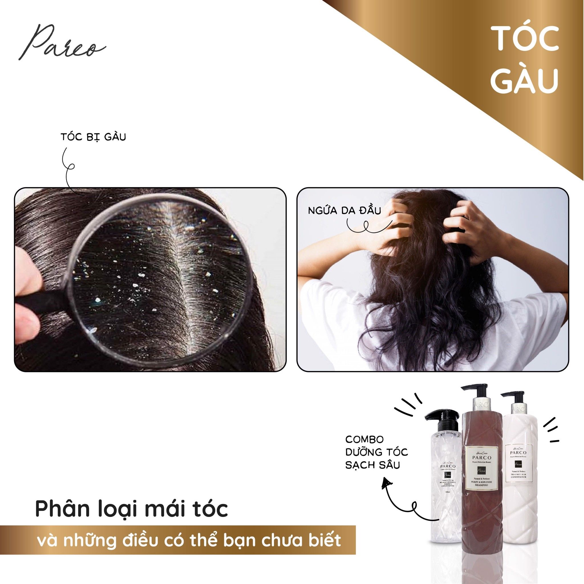 COMBO DƯỠNG TÓC CHẮC KHOẺ – GIẢM GÃY RỤNG & SẠCH SÂU