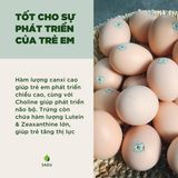  Trứng gà thảo dược Cà Gai Leo 