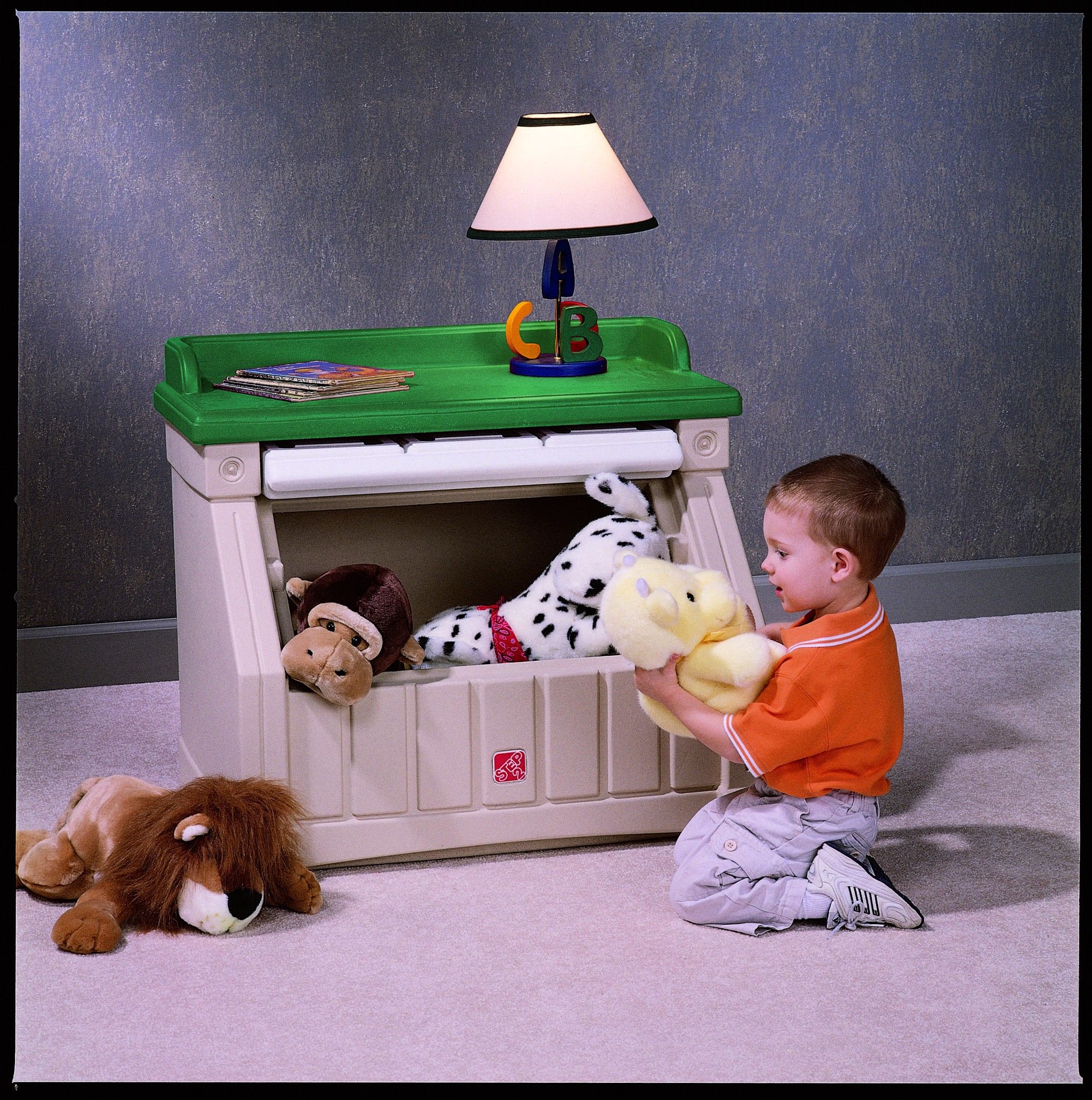 Lifestyle Storage Chest