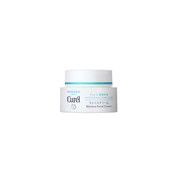 Kem Dưỡng Da Cấp Ẩm Chuyên Sâu Curel Intensive Moisture Care Intensive Moisture Cream 40G
