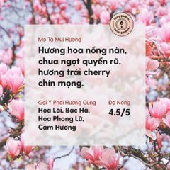 Tinh Dầu Hoa Anh Đào (Cherry Blossom Essential Oil) Heny Garden