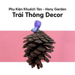 Quả Thông Khuếch Tán Tinh Dầu Treo