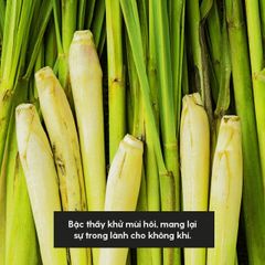 Tinh Dầu Sả Chanh (Fresh Lemongrass Essential Oil) Heny Garden