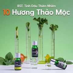 Tinh Dầu Thơm Phòng Thiên Nhiên 10 MÙI Nhóm THẢO MỘC HENY GARDEN