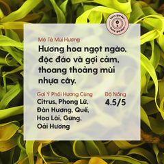 Tinh Dầu Ngọc Lan Tây (Ylang Ylang Essential Oil) Heny Garden