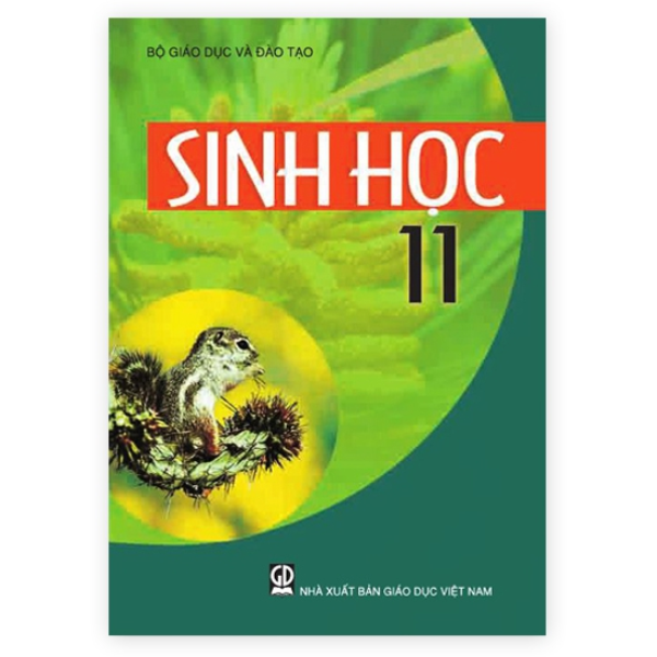 Sinh Học - Lớp 11 - Tái Bản 2021