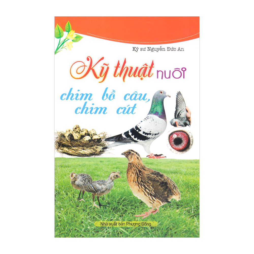 ND - Kỹ thuật nuôi chim bồ câu, chim cút